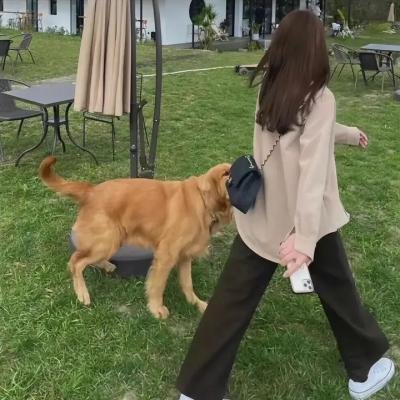 维也纳之舞