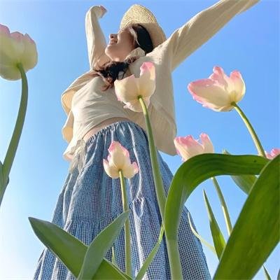 长岛凶宅故事